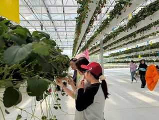 共赴“莓好”&nbsp;感受未来&nbsp;——科...