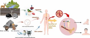 科研速报|牙釉质铅同位素分析揭...