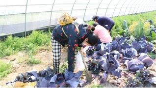 巾帼绽芳华·踏青赴春光——三八...